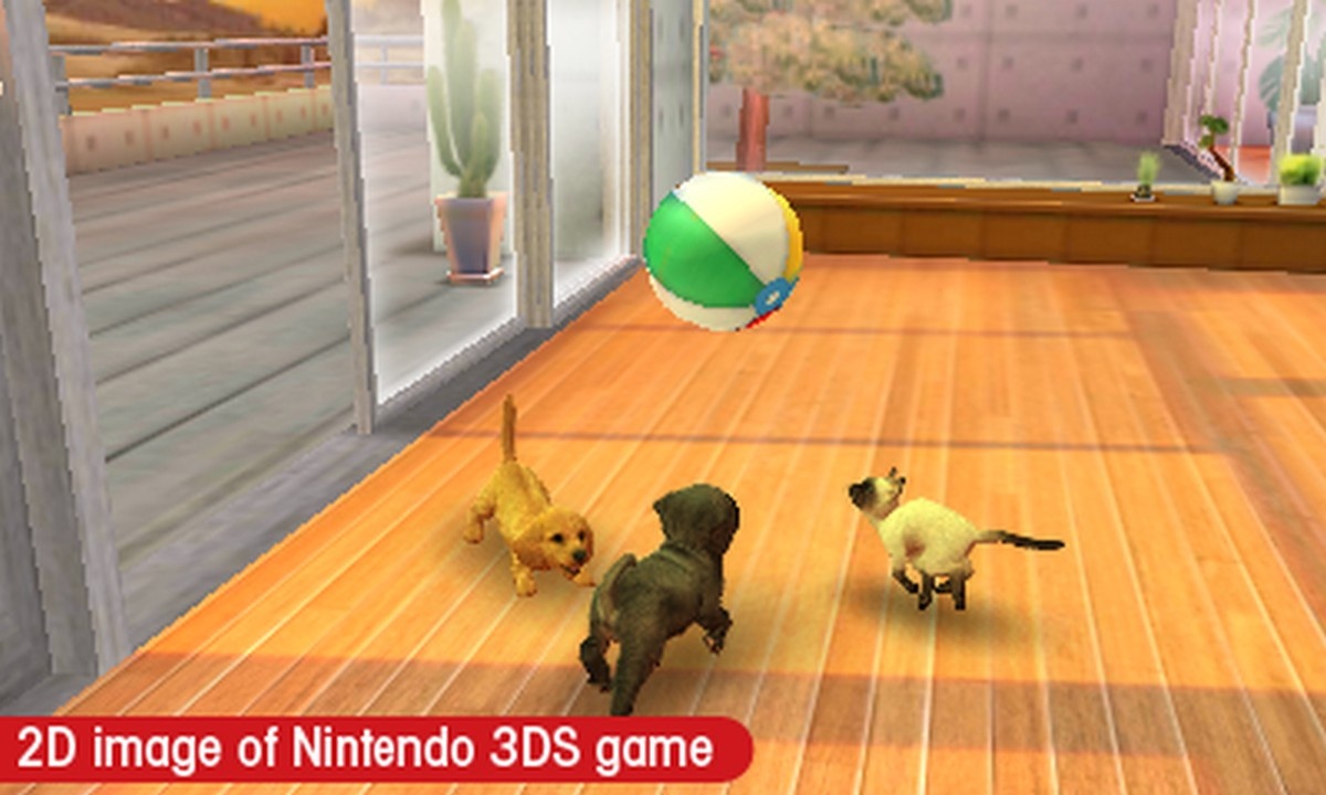 Nintendogs + Cats: Golden Retriever and New Friends Review - GameSpot