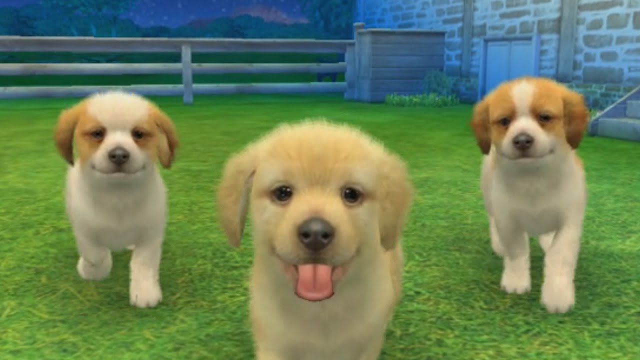 Nintendogs + Cats 3DS - 30 Minutes of Gameplay, No Commentary - YouTube